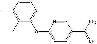 6-(2,3-dimethylphenoxy)pyridine-3-carboximidamide 结构式