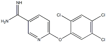 6-(2,4,5-trichlorophenoxy)pyridine-3-carboximidamide 结构式