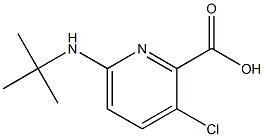 6-(tert-butylamino)-3-chloropyridine-2-carboxylic acid 结构式