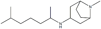 8-methyl-N-(6-methylheptan-2-yl)-8-azabicyclo[3.2.1]octan-3-amine 结构式