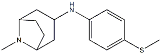 8-methyl-N-[4-(methylsulfanyl)phenyl]-8-azabicyclo[3.2.1]octan-3-amine 结构式