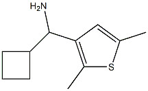 cyclobutyl(2,5-dimethylthiophen-3-yl)methanamine 结构式