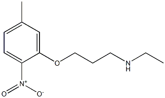 ethyl[3-(5-methyl-2-nitrophenoxy)propyl]amine 结构式