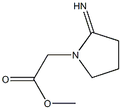 methyl 2-(2-iminopyrrolidin-1-yl)acetate 结构式