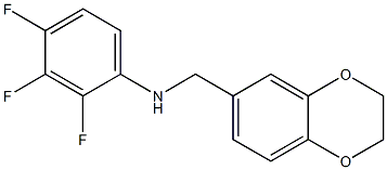 N-(2,3-dihydro-1,4-benzodioxin-6-ylmethyl)-2,3,4-trifluoroaniline 结构式