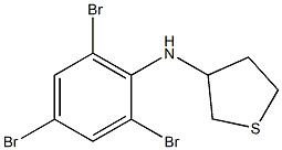 N-(2,4,6-tribromophenyl)thiolan-3-amine 结构式