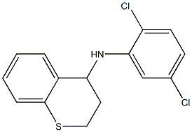 N-(2,5-dichlorophenyl)-3,4-dihydro-2H-1-benzothiopyran-4-amine 结构式