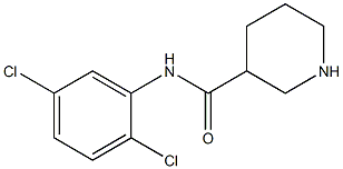 N-(2,5-dichlorophenyl)piperidine-3-carboxamide 结构式