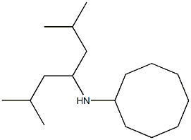 N-(2,6-dimethylheptan-4-yl)cyclooctanamine 结构式