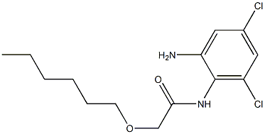 N-(2-amino-4,6-dichlorophenyl)-2-(hexyloxy)acetamide 结构式