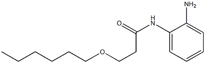 N-(2-aminophenyl)-3-(hexyloxy)propanamide 结构式