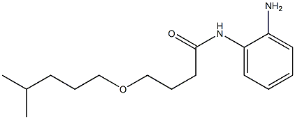 N-(2-aminophenyl)-4-[(4-methylpentyl)oxy]butanamide 结构式