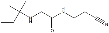 N-(2-cyanoethyl)-2-[(2-methylbutan-2-yl)amino]acetamide 结构式