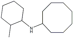 N-(2-methylcyclohexyl)cyclooctanamine 结构式