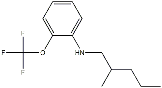 N-(2-methylpentyl)-2-(trifluoromethoxy)aniline 结构式