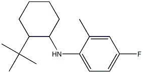 N-(2-tert-butylcyclohexyl)-4-fluoro-2-methylaniline 结构式