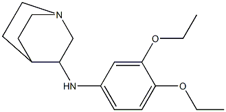 N-(3,4-diethoxyphenyl)-1-azabicyclo[2.2.2]octan-3-amine 结构式