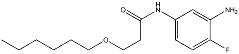 N-(3-amino-4-fluorophenyl)-3-(hexyloxy)propanamide 结构式