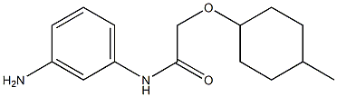 N-(3-aminophenyl)-2-[(4-methylcyclohexyl)oxy]acetamide 结构式