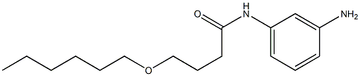 N-(3-aminophenyl)-4-(hexyloxy)butanamide 结构式