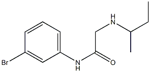 N-(3-bromophenyl)-2-(butan-2-ylamino)acetamide 结构式