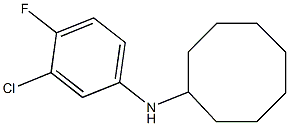 N-(3-chloro-4-fluorophenyl)cyclooctanamine 结构式