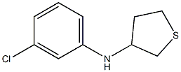 N-(3-chlorophenyl)thiolan-3-amine 结构式