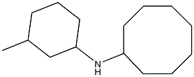 N-(3-methylcyclohexyl)cyclooctanamine 结构式