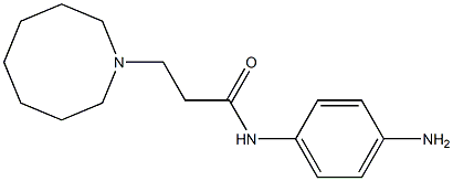 N-(4-aminophenyl)-3-(azocan-1-yl)propanamide 结构式