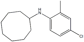 N-(4-chloro-2-methylphenyl)cyclooctanamine 结构式