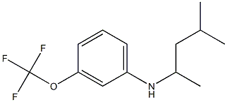 N-(4-methylpentan-2-yl)-3-(trifluoromethoxy)aniline 结构式