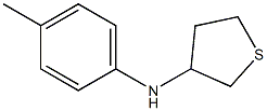 N-(4-methylphenyl)thiolan-3-amine 结构式