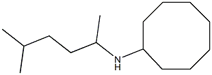 N-(5-methylhexan-2-yl)cyclooctanamine 结构式
