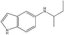 N-(butan-2-yl)-1H-indol-5-amine 结构式