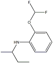 N-(butan-2-yl)-2-(difluoromethoxy)aniline 结构式