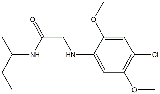 N-(butan-2-yl)-2-[(4-chloro-2,5-dimethoxyphenyl)amino]acetamide 结构式