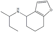 N-(butan-2-yl)-4,5,6,7-tetrahydro-1-benzofuran-4-amine 结构式