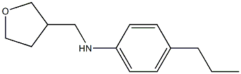 N-(oxolan-3-ylmethyl)-4-propylaniline 结构式