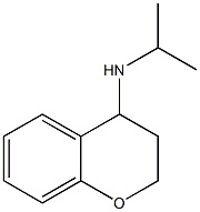 N-(propan-2-yl)-3,4-dihydro-2H-1-benzopyran-4-amine 结构式