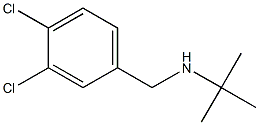 N-(tert-butyl)-N-(3,4-dichlorobenzyl)amine 结构式