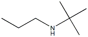 N-(tert-butyl)-N-propylamine 结构式