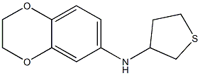 N-(thiolan-3-yl)-2,3-dihydro-1,4-benzodioxin-6-amine 结构式