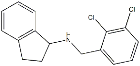 N-[(2,3-dichlorophenyl)methyl]-2,3-dihydro-1H-inden-1-amine 结构式