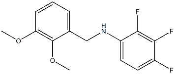 N-[(2,3-dimethoxyphenyl)methyl]-2,3,4-trifluoroaniline 结构式