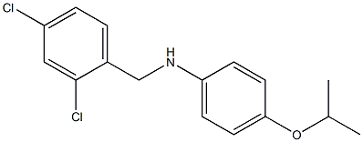 N-[(2,4-dichlorophenyl)methyl]-4-(propan-2-yloxy)aniline 结构式
