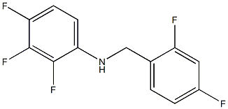 N-[(2,4-difluorophenyl)methyl]-2,3,4-trifluoroaniline 结构式