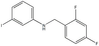 N-[(2,4-difluorophenyl)methyl]-3-iodoaniline 结构式