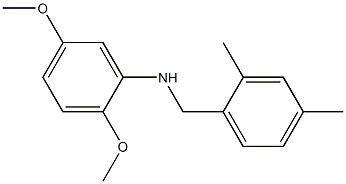 N-[(2,4-dimethylphenyl)methyl]-2,5-dimethoxyaniline 结构式