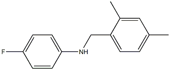 N-[(2,4-dimethylphenyl)methyl]-4-fluoroaniline 结构式