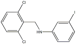 N-[(2,6-dichlorophenyl)methyl]-3-iodoaniline 结构式